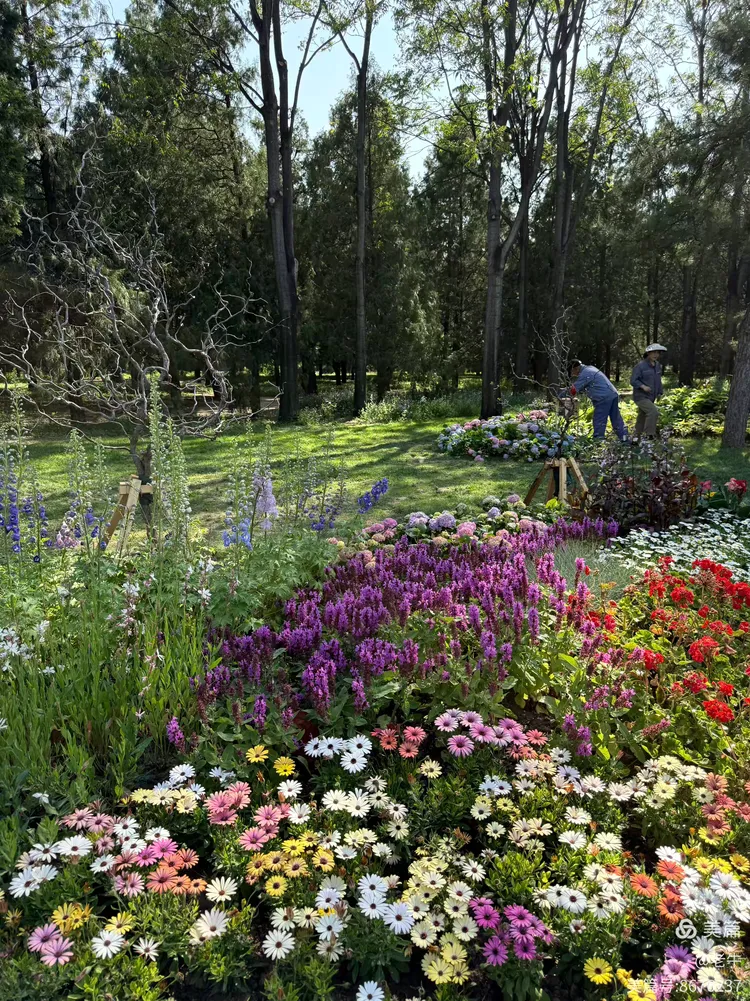 天坛百花园:五一的繁花之约